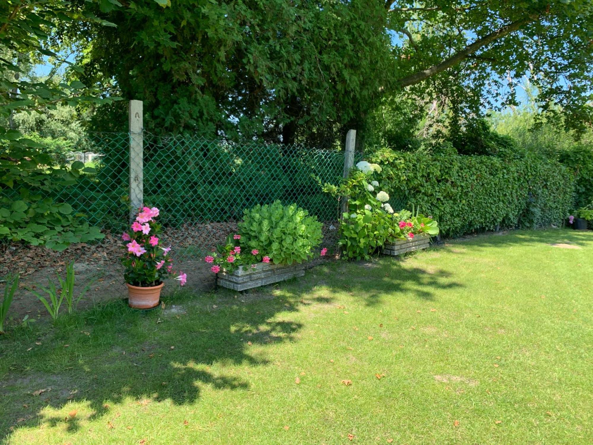 Szarszo Apartment With 3 Rooms And Private Beach, Private Parking Balatonszarszo Buitenkant foto